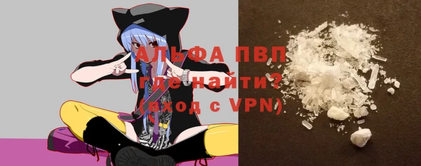 трава Аркадак