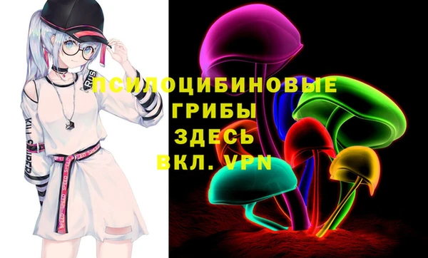 крисы Арсеньев
