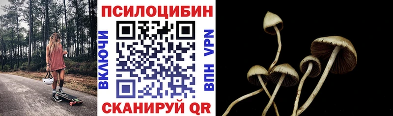 Псилоцибиновые грибы прущие грибы  Узловая 